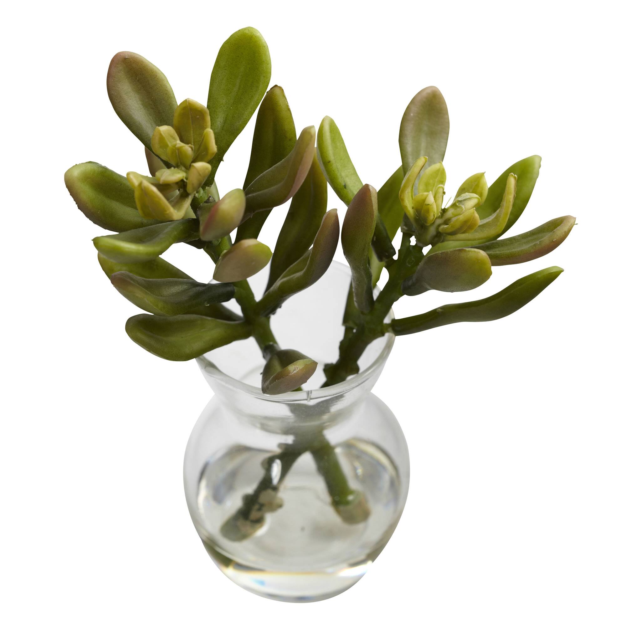 Succulent Arrangements in Vases 3ct.